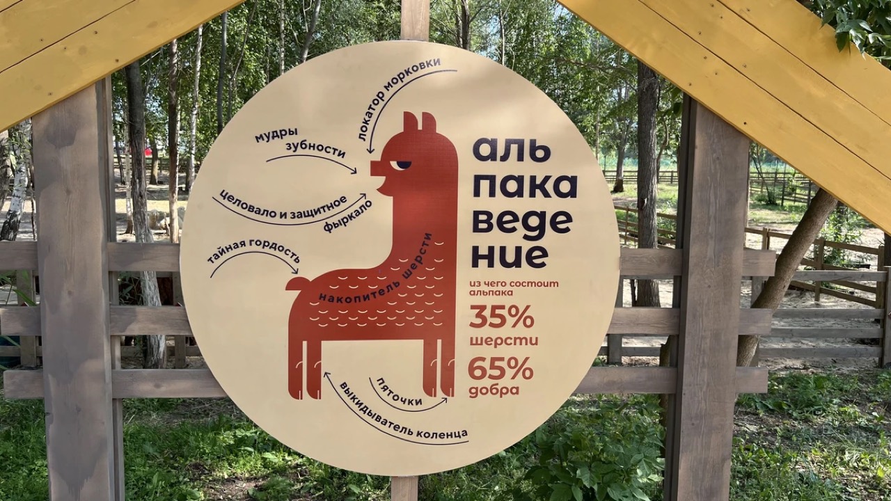 В Свияжск + в гости к альпакам — Казань